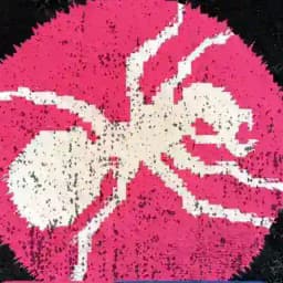 The Prodigy Daily Profile