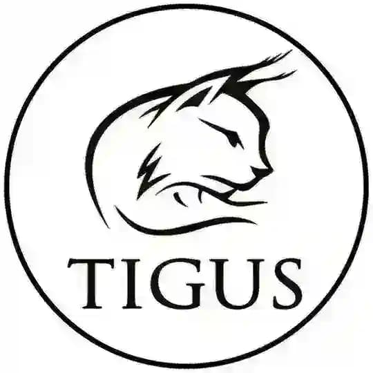 💎TIGUS Бижутерия💎
