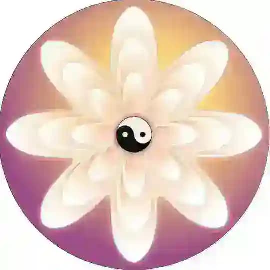 Kanal - Lotosblüte Soul Power ❤️