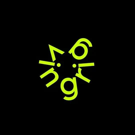Vingrig Game Studio