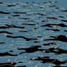 waterbearing