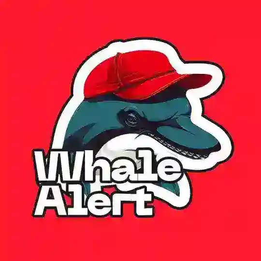 Whale Alerts 🐳
