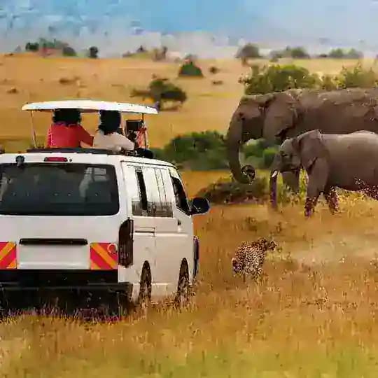 @Epanoui_Vibes_Safaris_ltd πΊπ¬πΊπ¬π₯π₯βοΈπβΊοΈππ³βοΈ