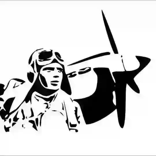 World Pilot