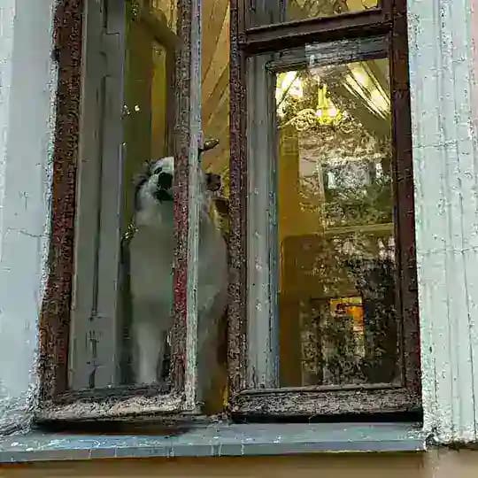 Дом Телешова