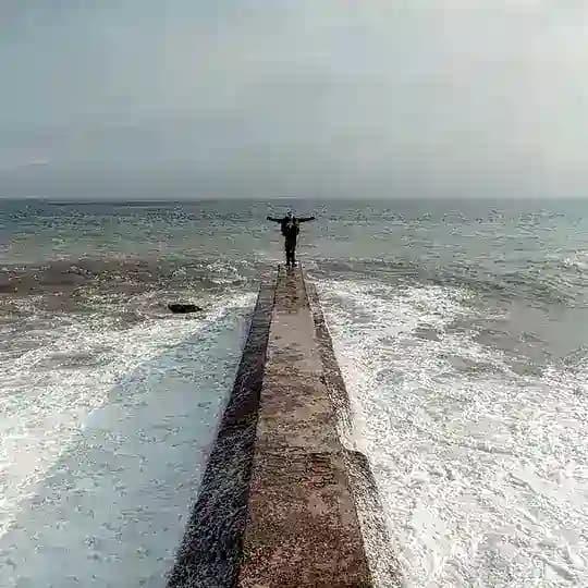 ГИНТОВТ Profile