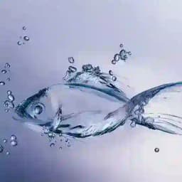 Аквариум - мое хобби🇺🇿 Profile