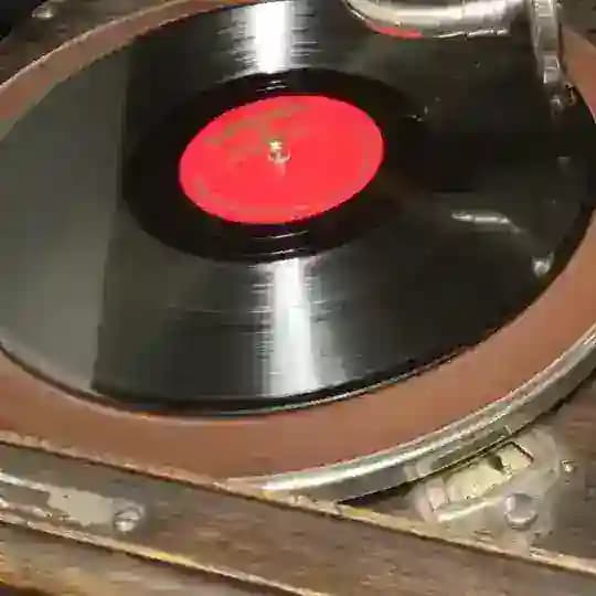 Дмитра Замура арт