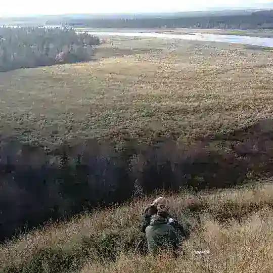 Заметки в полях
