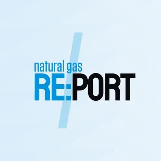 NG / Re:port
