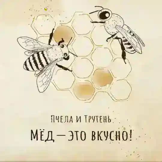Пчела и Трутень