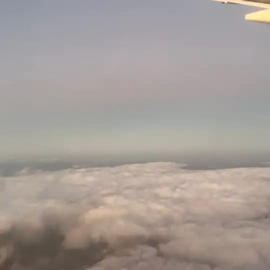 preluvedpile☁️ Profile