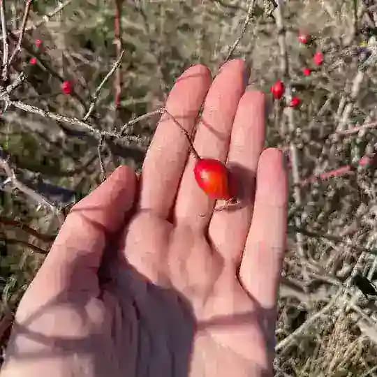 Сад у протоки 🧜‍♀️ Profile