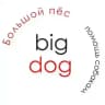Bigdog_ekb помощь собакам🏡🐕💚