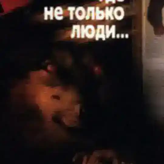 за кем бы ещё погнаться