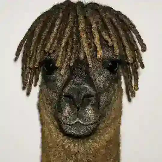 808