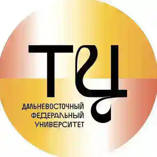 Творческий центр ДВФУ