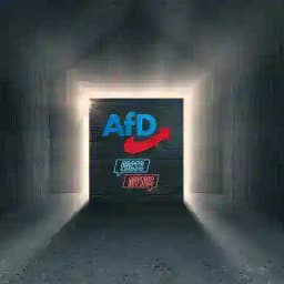 Alternative für Deutschland AfD Fakten by GRT - Deutschen Bundestag Politik Partei Profile