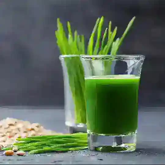 🔆 gesund und vital ohne Pharma Profile