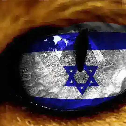 Remember, animals have the same rights like children and women! Defending animal rights against Israel Palestine War Crimes Profile