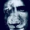 LION Media