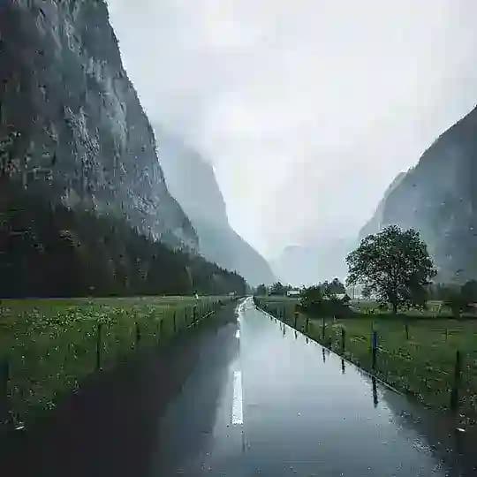 Nature Travel