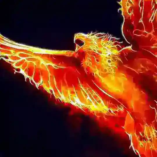 Phönix Aus Asche Auferstanden Profile