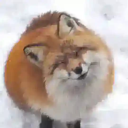 Вторая жизнь Лизки Fox