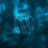 WORDPRESS HACKS