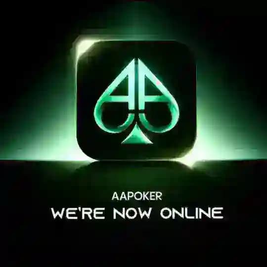 AA扑克🃏全网上压30万♠️德州扑克