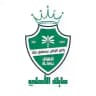 مـايك الاهلي 💚.