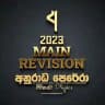 2023 MAIN REVISION - AP