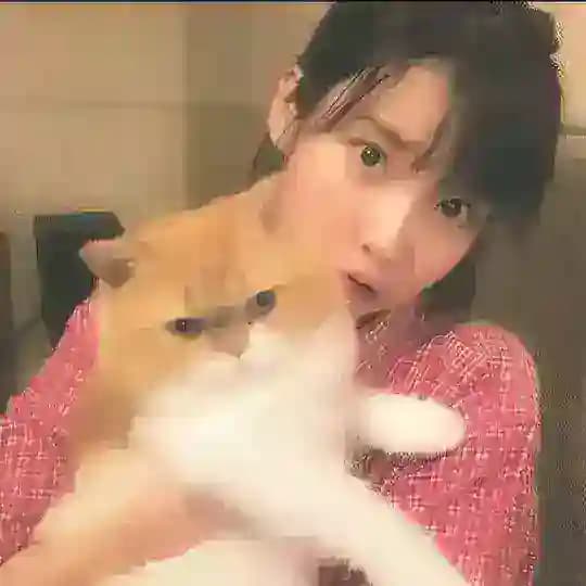 K Drama Hertz