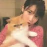 K Drama Hertz