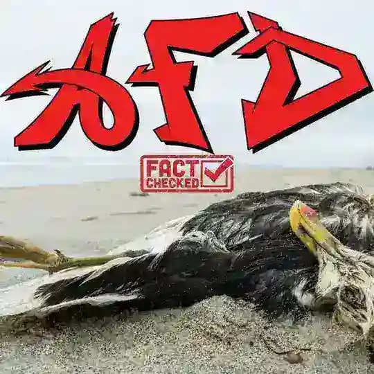 AfD zeigt nicht nur Rassismus gegen Islam wie Anders Behring Breivik, sondern auch Diskriminierung gegen Tiere Frauen Umwelt Profile