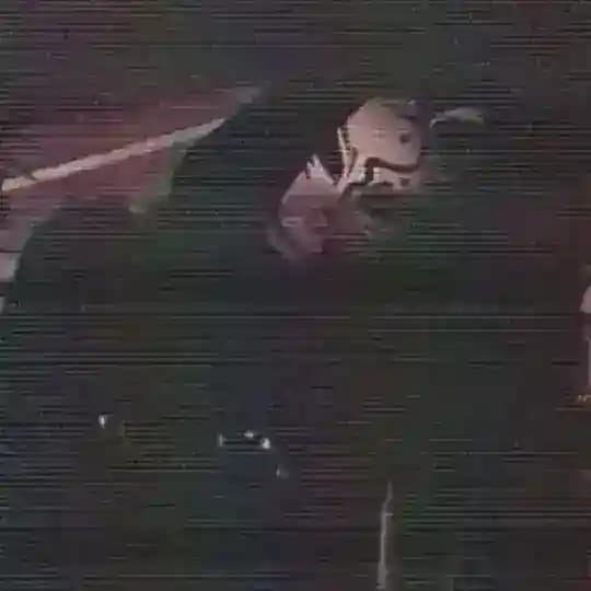 Лиса с кухни Дьявола