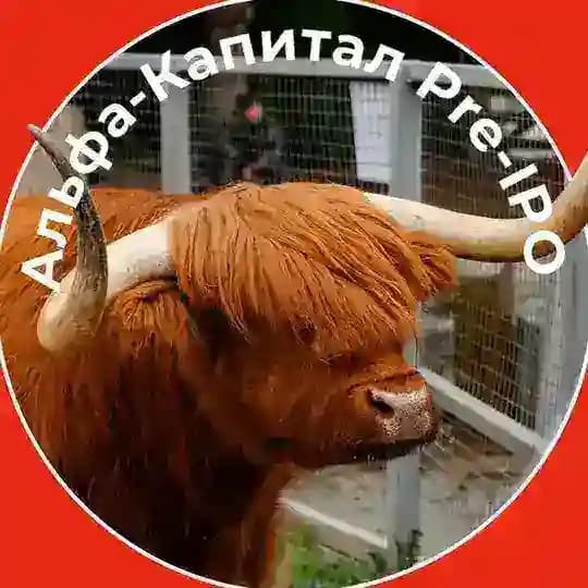 Альфа-Капитал Pre-IPO