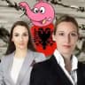 Bullshit by Alice Weidel, Enxhi Seli-Zacharias ☪️🇦🇱 und weitere 💩 AfD Politikern ohne Kopf und Fuss, und natürlich ohne Fakten