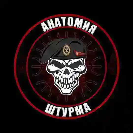 «Анатомия Штурма»