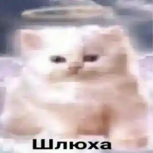 Анфер NSFW art