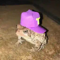 buduveritvbuddu Profile