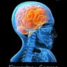 Human anatomy and physiology