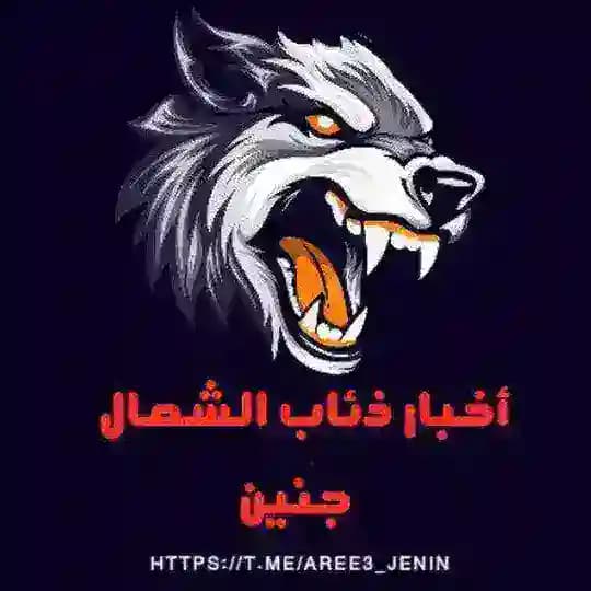 اخبار ذئاب الشمال_جنين✌️🇵🇸