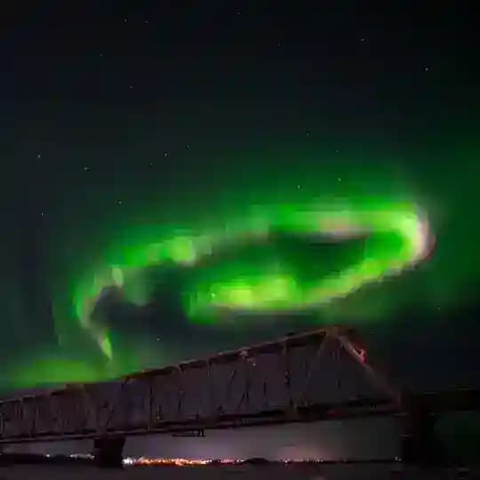 АрхАврора