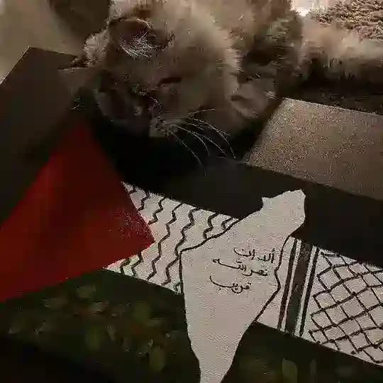 ⤶أثـر طـيـب ⊁ 🤎