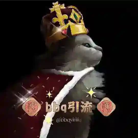 BBQ强拉炒群私信监控群发采集机器人软件 Profile