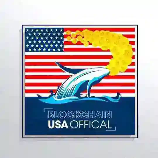 Blockchain Usa Official ( Binance ) π