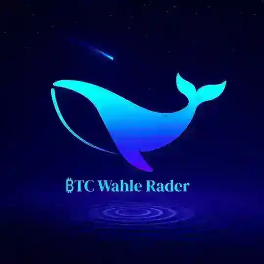 BIT Whale Radar
