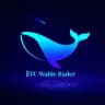 BIT Whale Radar