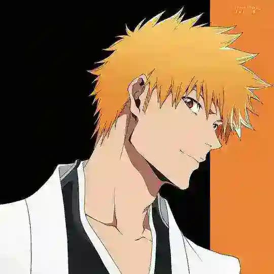 Bleach tybw partie 4 vf Profile